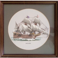 Mayflower 35 x 35 cm