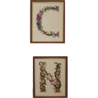 C and N 16 x 19 each cm